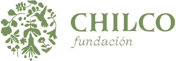 Fundacion Chilco